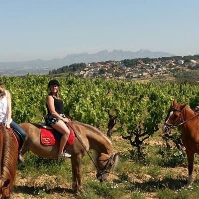 Horseback Ride, Penedes, Wine Tasting & Tapas Private Tour