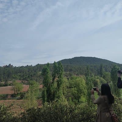 Half Day Private Wine & Oil Tasting Tour near Barcelona with hotel pick up 2