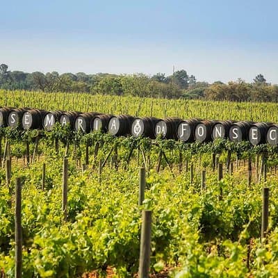 Wine Tour from Lisbon to Seville 5