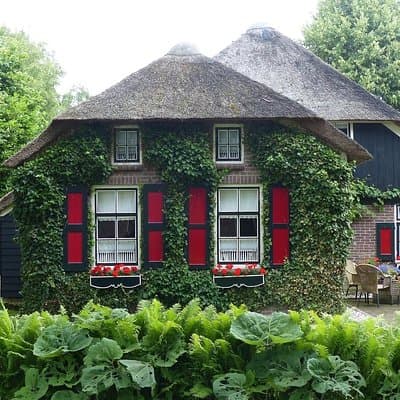 Giethoorn Private Tour from Amsterdam in Jaguar S Type 5