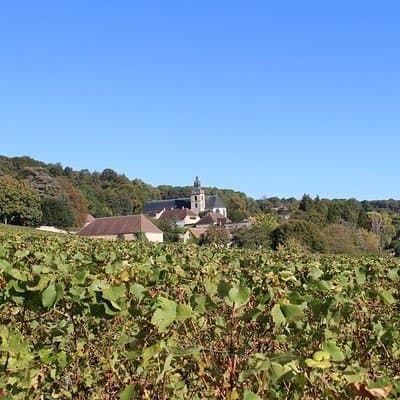 Private Full-Day Tour of Champagne Region 2