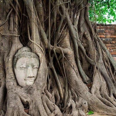 Rolls Royce Exclusive : Ayutthaya Temples & Ancient City Tour (Multi Languages) 4