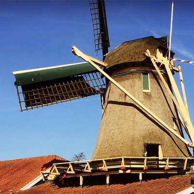 Amsterdam's Countryside Half-Day Bike Tour in Small Group 4
