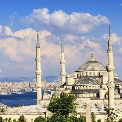 Airport Transfer: New Airport IST to Istanbul by Luxury Van 5