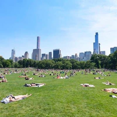 Central Park Guided Walking Tour in French
