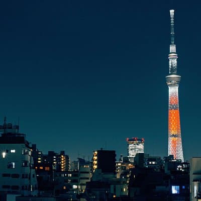 Tokyo Private Customizable Half Day Tour 5