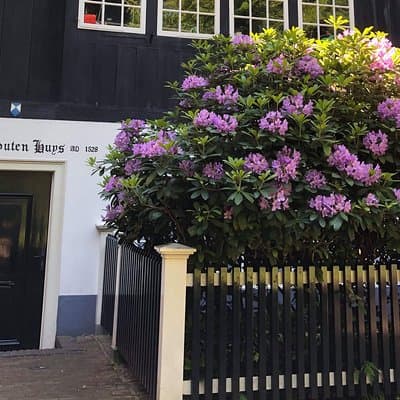 Amsterdam Private Walking Tour of Famous Painters 4