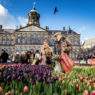e-Scavenger hunt Amsterdam: Explore the city at your own pace 4