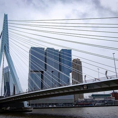 Private Transfer from Amsterdam city center to Rotterdam 5
