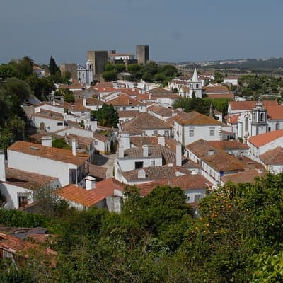 Private Transfer Lisbon-Porto with 2 (two) visits