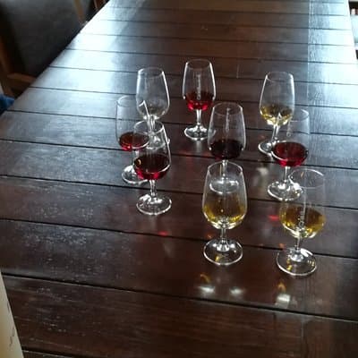 Douro Valley and Lisbon 5 Day PRIVATE Tour - Port Wine Region, Porto and Lisbon 5
