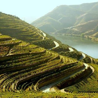 Douro Valley and Lisbon 5 Day PRIVATE Tour - Port Wine Region, Porto and Lisbon