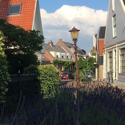 Bike tour Amsterdam Noord 3