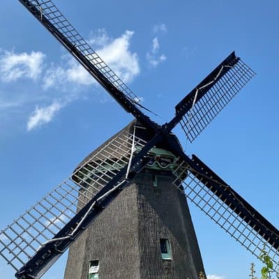 Escape Amsterdam: E-Bike to Zaanse Schans Windmills & Zaandam 5