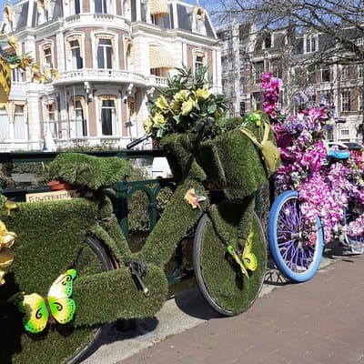Private Tour: Amsterdam City Walking Tour and Canal Cruise 2