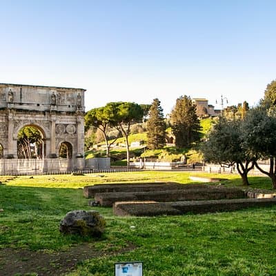 Rome Private Tour: Colosseum Forum & City Highlight 3