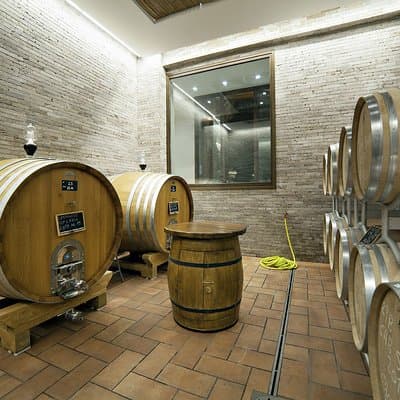 Small-Group Exclusive Winery and Wine Tasting Tour in Frascati 2