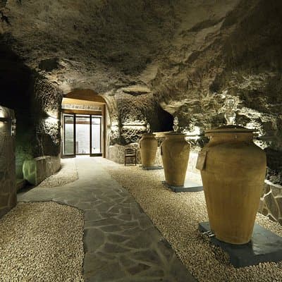 Small-Group Exclusive Winery and Wine Tasting Tour in Frascati 5