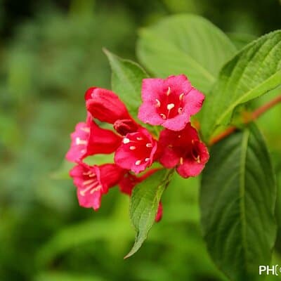 Photo weekend for beginners 3