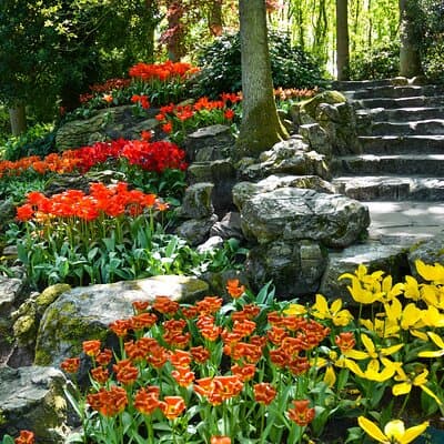 Keukenhof Gardens & Tulip Experience Tour from Amsterdam 4