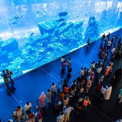 Full-Day Private Tour in Dubai 5