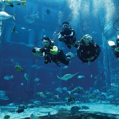 Dubai Lost Chambers Dive Explorer (Certification Required) 2