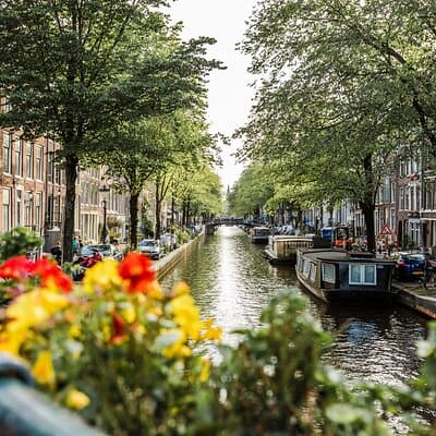 Flexible Amsterdam Layover Tour with a Local: 100% Personalized & Private 4