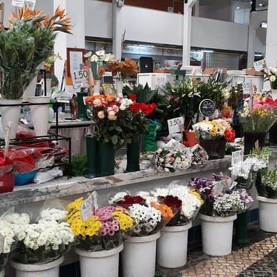 PRIVATE Tour to Factory of Tiles, Setúbal and Évora from Lisboa 3