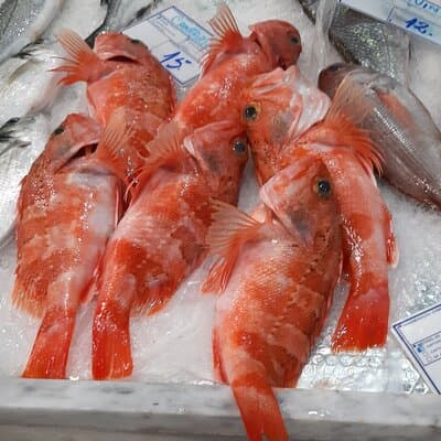 PRIVATE Tour to Factory of Tiles, Setúbal and Évora from Lisboa 5