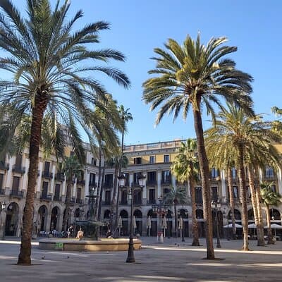 Private Bike tour for families 5