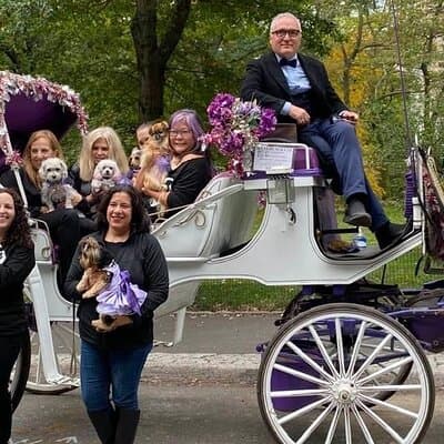NYC Central Park Horse and Carriage Ride: Long Ride 45 min