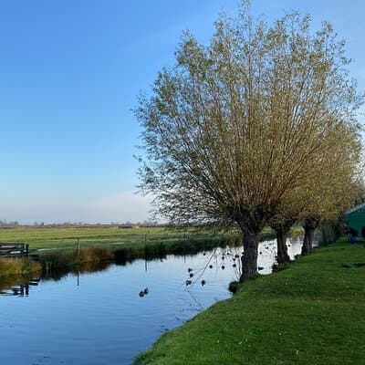 Giethoorn, Afsluitdijk, Zaanse Schans Day Tour Incl Hotel Pick Up 5