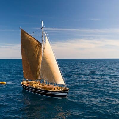 8-Hour Whale Watching in Barcelona 3