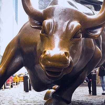 Wall Street & Financial District Private Walking Tour