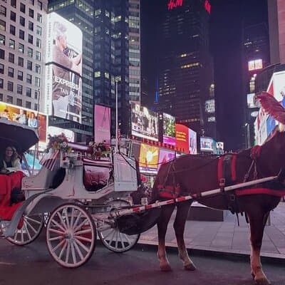 NYC Central Park & Rockefeller Center Private Horse Carriage Tour 2