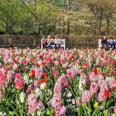 Private Day Trip to Keukenhof Gardens with Entrance Tickets 5