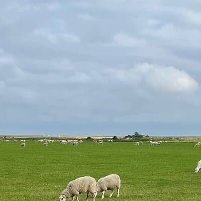 Tour in Texel
