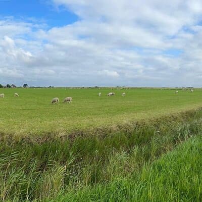 Tour in Texel 4