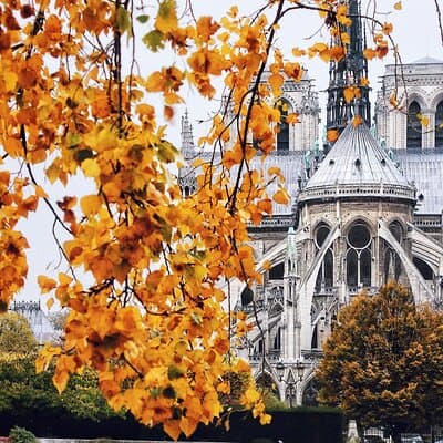 Paris Photo Walk with a Pro Photographer & Discover Hidden Paris 3