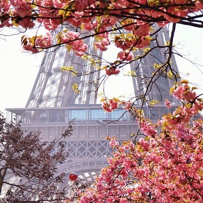 Paris Photo Walk with a Pro Photographer & Discover Hidden Paris