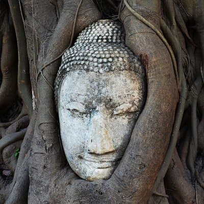 Highlights of Bangkok and Ayutthaya (World Heritage site) in 1 day 4