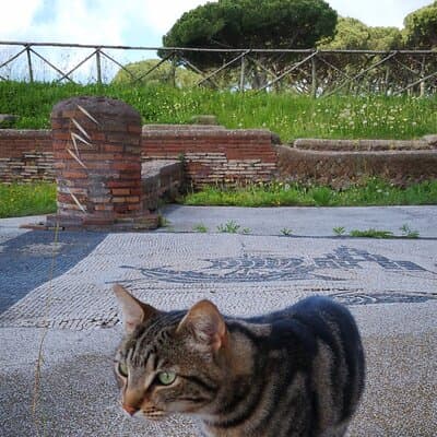 Ostia Antica Archaeological Park with Italian Gelato 5