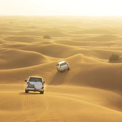 Desert Safari, Quad Biking, Sand Surfing and BBQ Dinner In Dubai 5