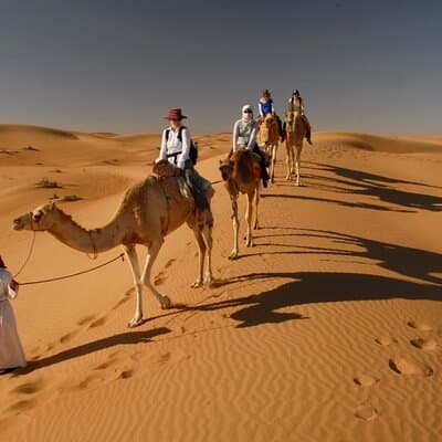 Full-Day Small-Group Red Desert Safari with BBQ Dinner in Dubai 2