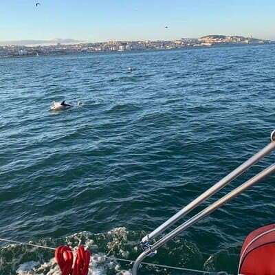 4H Private Luxury Sailboat Tour with Swim 4