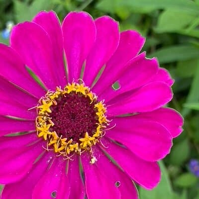 Private Giverny Roundtrip and Entrance Ticket from Paris 5