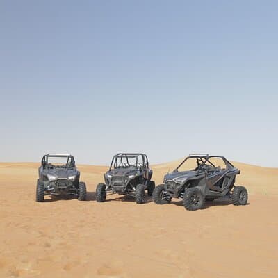 1 seater Dune Buggy Safari / In Morning 4