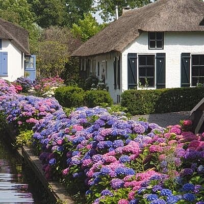 Small Group Giethoorn & Zaanse Schans w/ Pickup & Small Boat 3