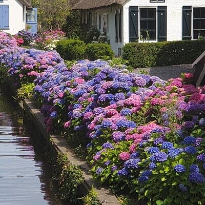 Giethoorn & Afsluitdijk Day Tour w/ Boat Ride & Hotel Pickup 4