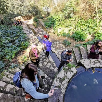 Photography route through the secret nature of Barcelona 5